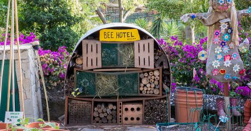 This DIY "Bee Hotel" Is Easy, Fun, and Helps Native Bees