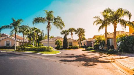Please Don't Plant That There! 8 Epic Mistakes People Make With Trees and Shrubs