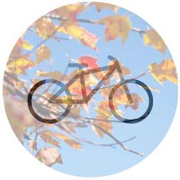 How to Use Your Bike Rack All Year Long