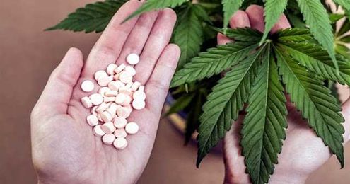 Fibromyalgia pain management: Cannabis is far better than big pharma