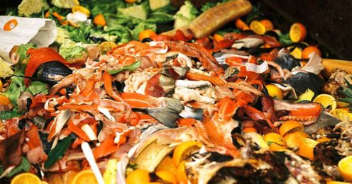 5 Reasons the World Wastes So Much Stuff (and Why It's Not Just the Consumer's Fault)