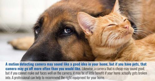 DIY Installation vs. Professional Installation: Which is Best for You?