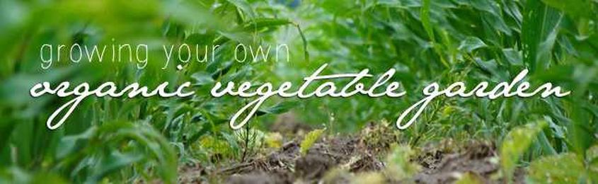 The Benefits of Organic Gardening