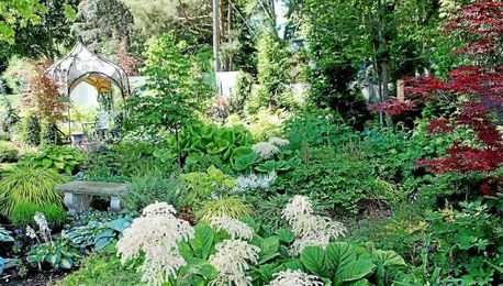 Build your shade garden with variety