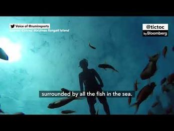 The Maldives Now Has a $50,000 Underwater Hotel Room