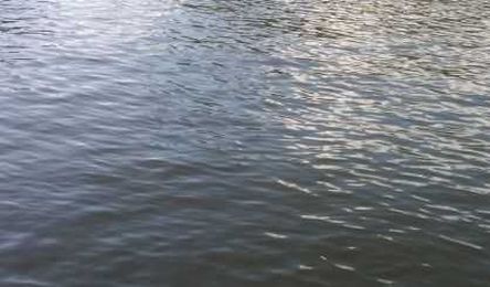Study Looks At Harbor Issues