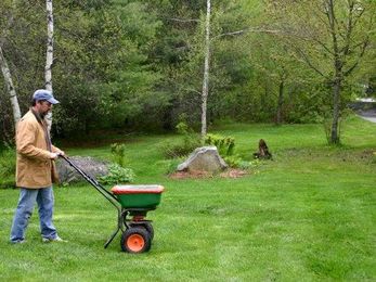 14 Tips for Fertilizing Your Lawn