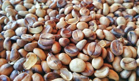 More grist to the mill for coffee waste!