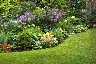When Landscaping Goes Bad: Big Mistakes That'll Tank Your Curb Appeal