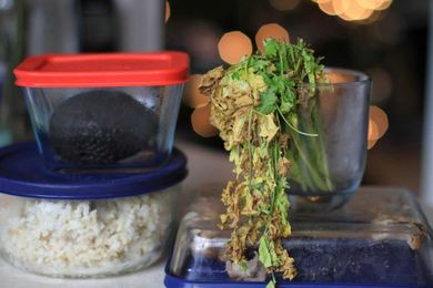 7 Reasons Your Grocery Bill is Too High