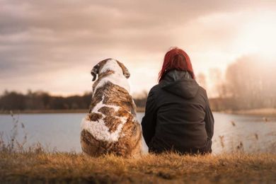 Dog and human microbiomes more alike than thought