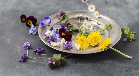 A Visual Guide to Flowers You Can Eat