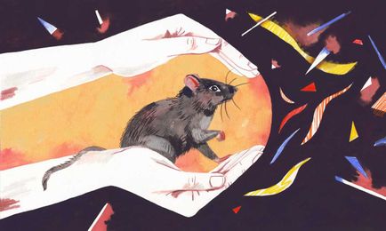 Do Conservation Strategies Need to Be More Compassionate? 