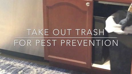 Taking out the trash is one part of pest prevention.