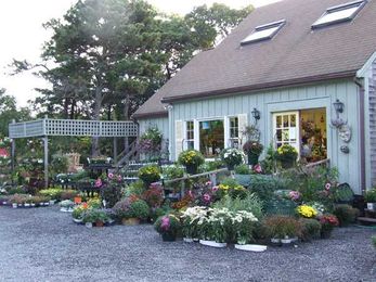 Planning Your New Garden and the Basics of Simple Design