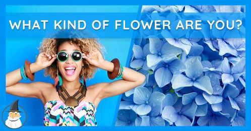 Ever Wonder What Kind of Flower You Are? Probably Not