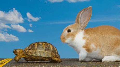 6 Tips to Jump-Start Your Weight Loss