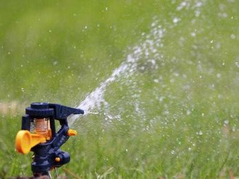 Tips for Watering Your Lawn the Right Way