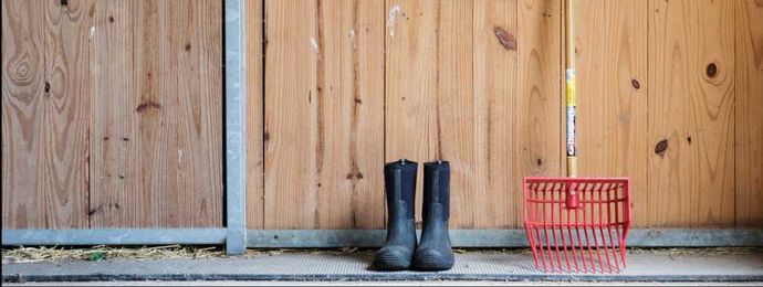 5 Ways to Make Barn Chores Easier!