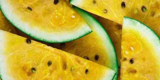 Pre-Cut Melon Salmonella Outbreak: Expert Witness Guidance to Avoid Infection