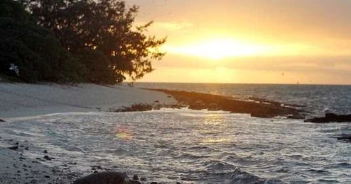 Ten Reasons Why We Need More Contact with Nature