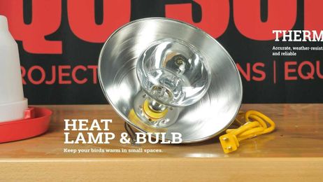 QC Supply What's In The Chick Starter Kit