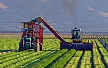 Digital transformation trends in agriculture