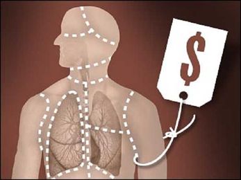 Hospitals are Quick to Declare Patients Brain Dead to Harvest Their Organs. Here's Why