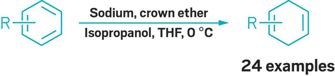 Birch reduction runs ammonia-free