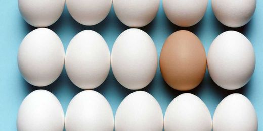 8 Incredible Things You Never Knew About Eggs