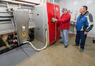 Dairy farm takes advantage of robots