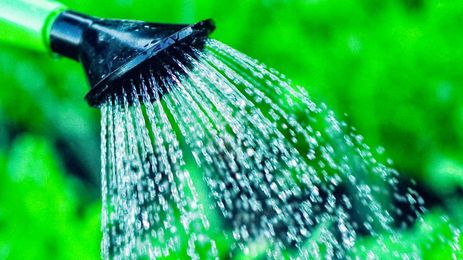 Keep your lawn healthy and happy!