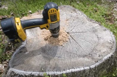 How to Easily Remove a Tree Stump For a Bargain