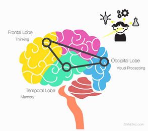 Empowering the Brain in Learning Using Visuals