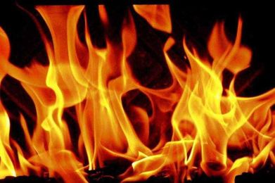 Firewise for horse owners specifies how to prevent different dangers