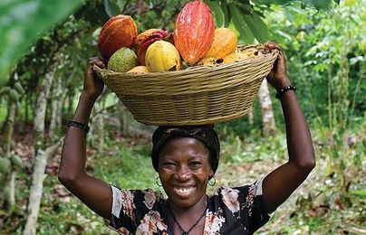 A Skills-Exchange Program Devoted to Sustainability