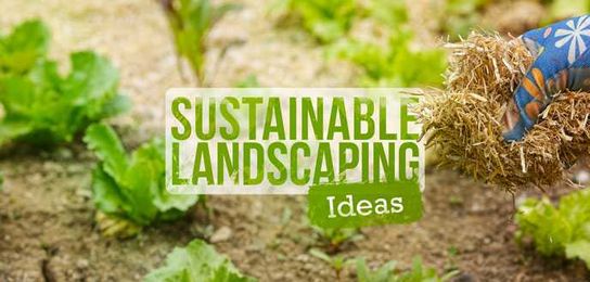 Create a Low-Impact Yard With These Sustainable Landscaping Ideas
