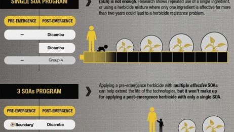 Is your generation creating monster, resistant weeds?