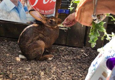 Why Animals At The Nashville Zoo Are Getting In On The Farm-To-Table Trend
