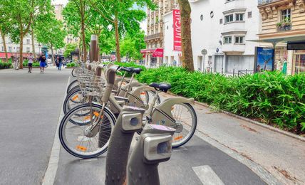 Anarchy in Bike Lanes—and Housing Markets