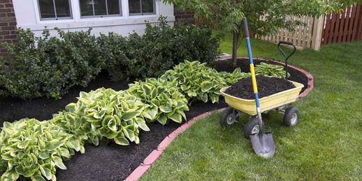 What Every Gardener Should Know About Mulching