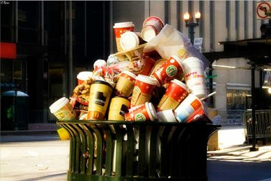 Ask Umbra: Are coffee cups recyclable?