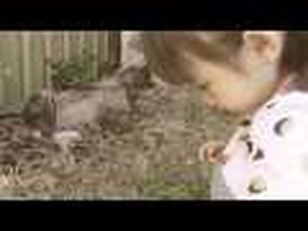 Lessons From a Hospital Bed: Focus On Ability