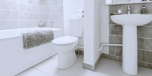 How to Properly Eliminate Gross Bathroom Bacteria