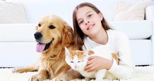 Why every parent and pet owner needs my mom's favorite cleaning product