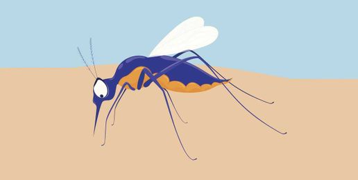 6 Ways to Stop Mosquito Bites from Itching