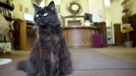 27 superstitions that might bring you bad luck