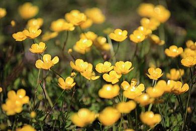 My Lost Treasure: The Foundations