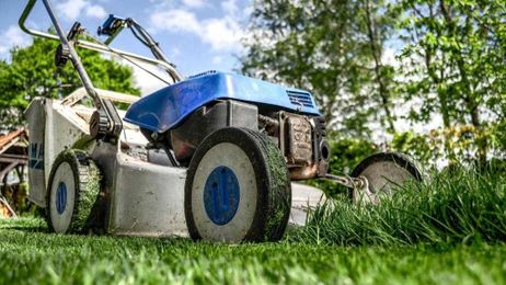 Sarah Browning: Mow high and often to keep lawn looking sharp