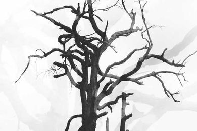 6 Things Pastors Do to Kill Church Growth